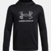 Armour Fleece® Big Logo Hoodie