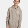 Φούτερ με κουκούλα Icon Fleece