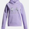 Φούτερ με κουκούλα Rival Fleece Shimmer